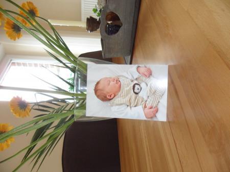 Bild zu