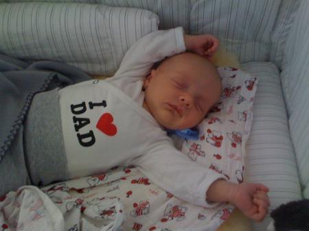 Bild zu