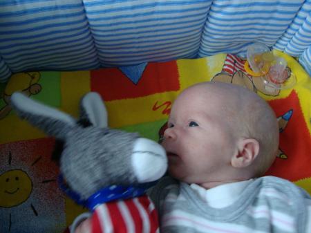 Bild zu