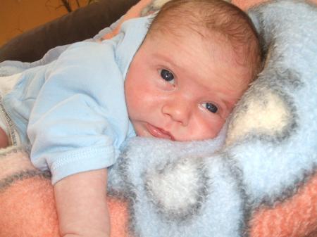 Bild zu