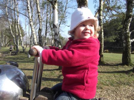 Bild zu