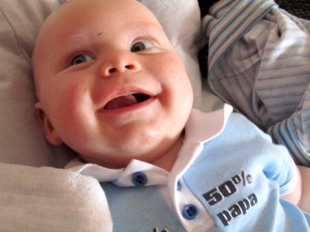 Bild zu 