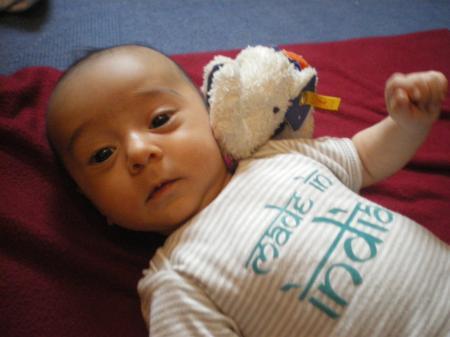 Bild zu 