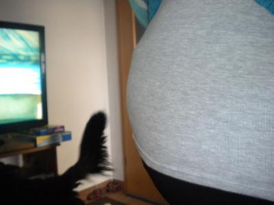 Bild zu Bauchbild - Forum für Mai - Mamis