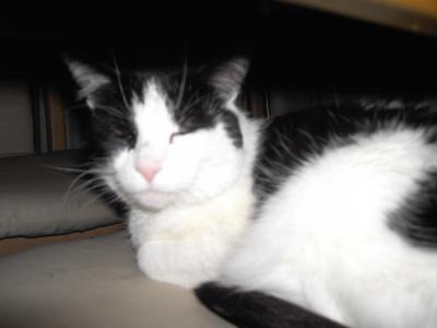 Bild zu Miese Stunden... :-( - Forum für Mai - Mamis