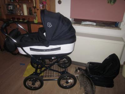 Bild zu Darf ich vorstellen... - Forum für Mai - Mamis