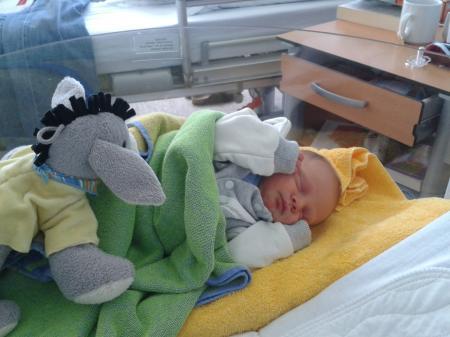 Bild zu