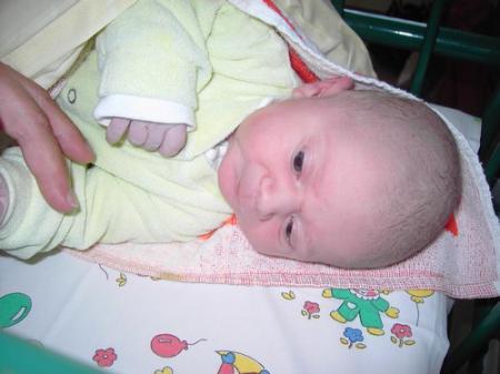 Bild zu 