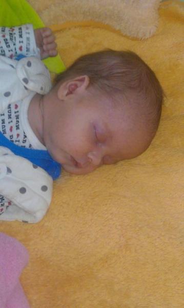Bild zu 