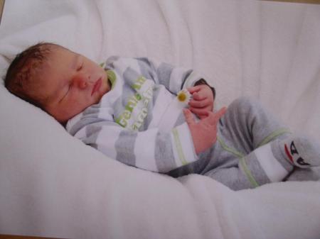 Bild zu 