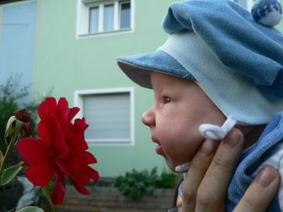 Bild zu Foto von unserem kleinen Julian - Forum für Mai - Mamis