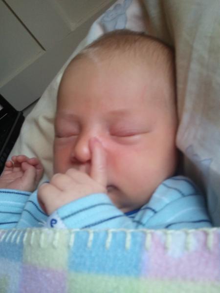 Bild zu 