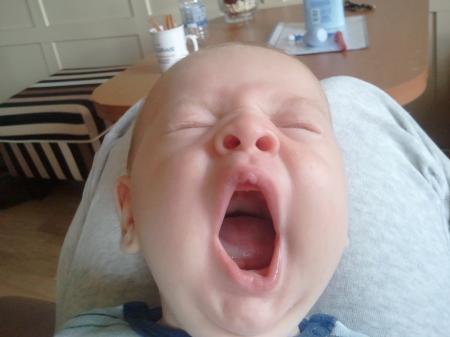 Bild zu 