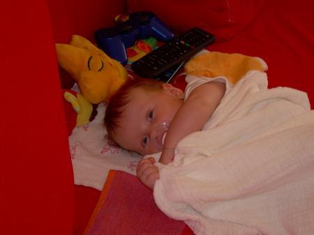 Bild zu