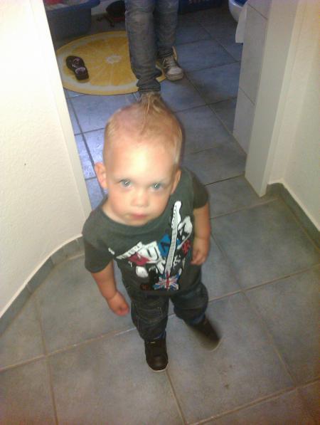 Bild zu 