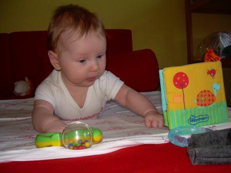 Bild zu 