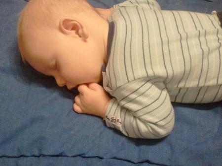 Bild zu 
