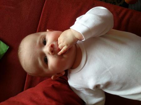 Bild zu