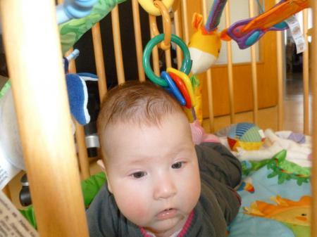 Bild zu