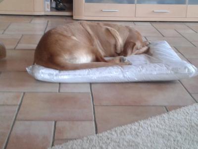 Bild zu baby Shopping:) - Forum für Mai - Mamis