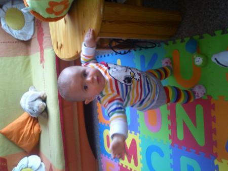 Bild zu 