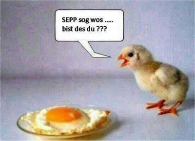 Bild zu Nur für euch .... :) - Forum für Mai - Mamis