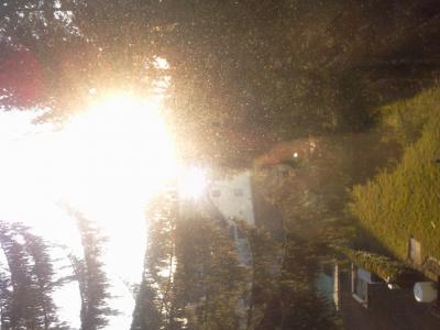 Bild zu traumhaftes wetter - Forum für Mai - Mamis