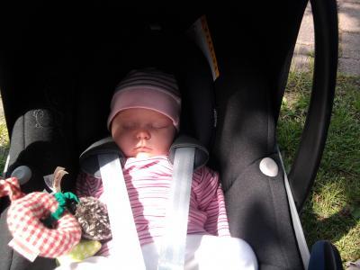 Bild zu Jetzt nerv ich nicht mehr - Forum für Mai - Mamis