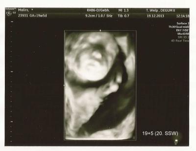 Bild zu Feinsono und Outing - Forum für Mai - Mamis