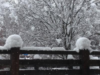Bild zu Wir versinken im Schnee... - Forum für Mai - Mamis
