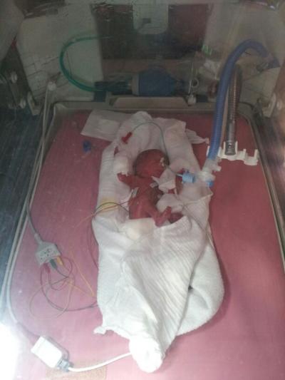 Bild zu Steinchen09 - Forum für Mai - Mamis