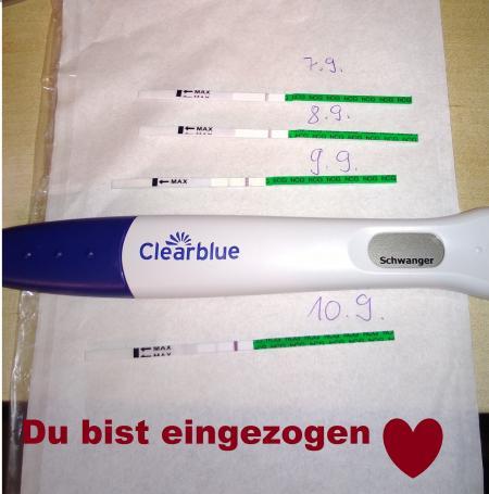 Bild zu 