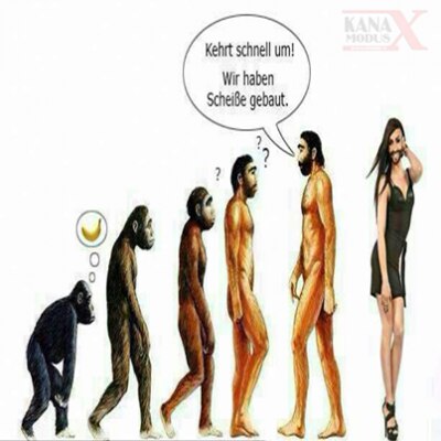 Bild zu was lustiges..für die wo a bissl ablenkung brauchen :-D - Forum für Mai - Mamis