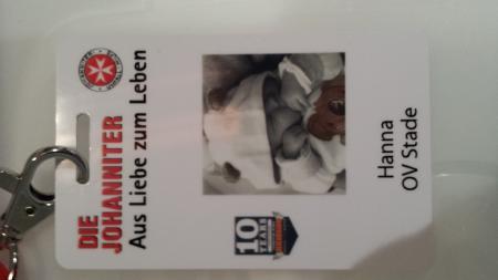 Bild zu 
