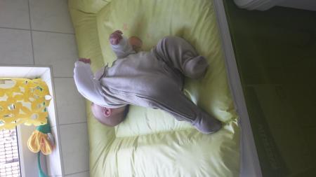 Bild zu 
