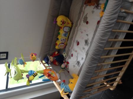 Bild zu 
