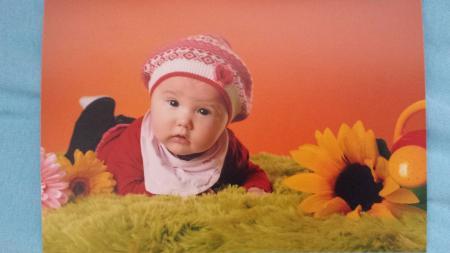 Bild zu 