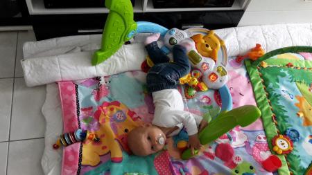 Bild zu 