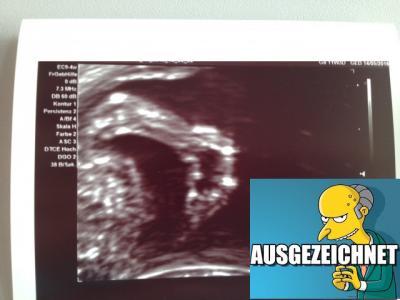 Bild zu Der US von heute: ausgezeichnet - Forum für Mai - Mamis