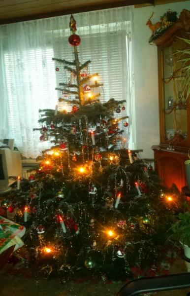 Bild zu Der Baum steht! - Forum für Mai - Mamis