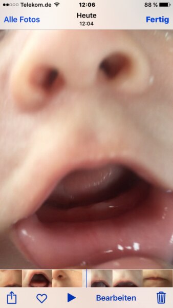 Bild zu 