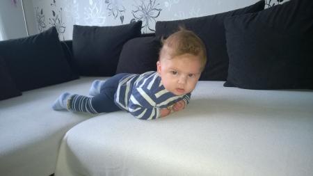 Bild zu 