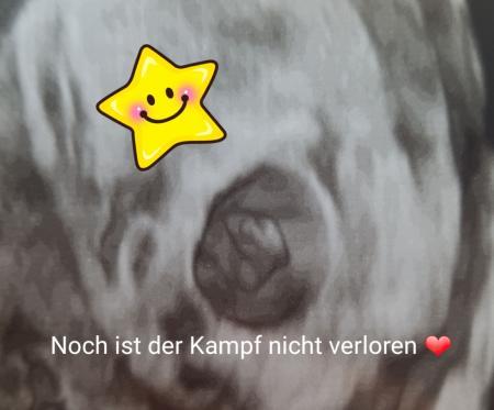 Bild zu Ich habe angst - Forum für Mai - Mamis