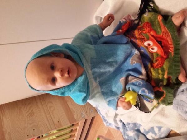 Bild zu