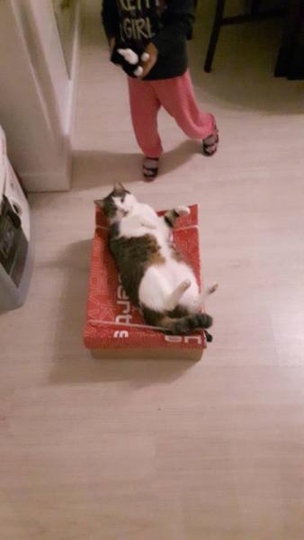 Bild zu 