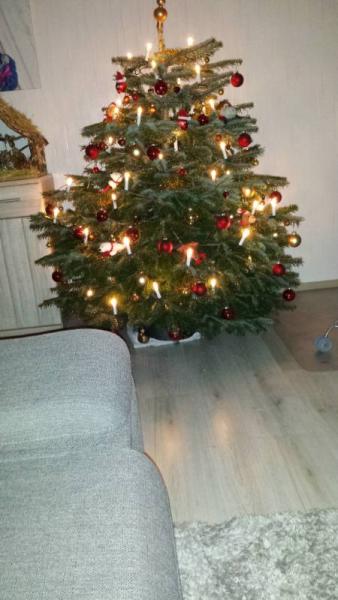 Bild zu 