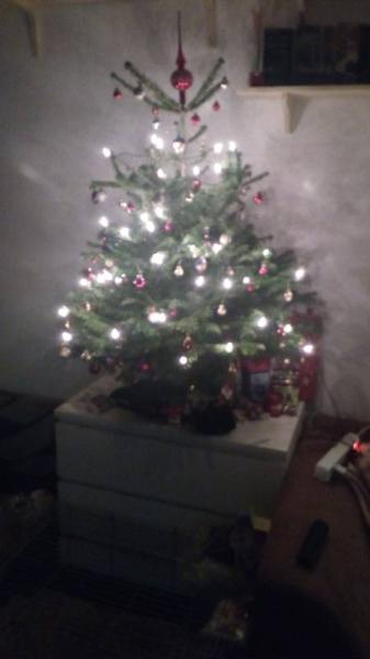 Bild zu 