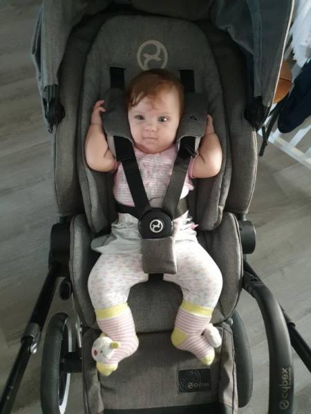 Bild zu