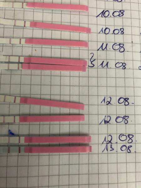 Bild zu 