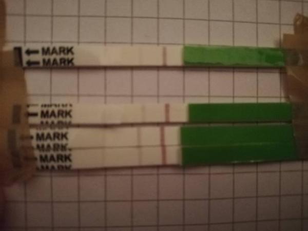 Bild zu Orakel - Forum für Mai - Mamis